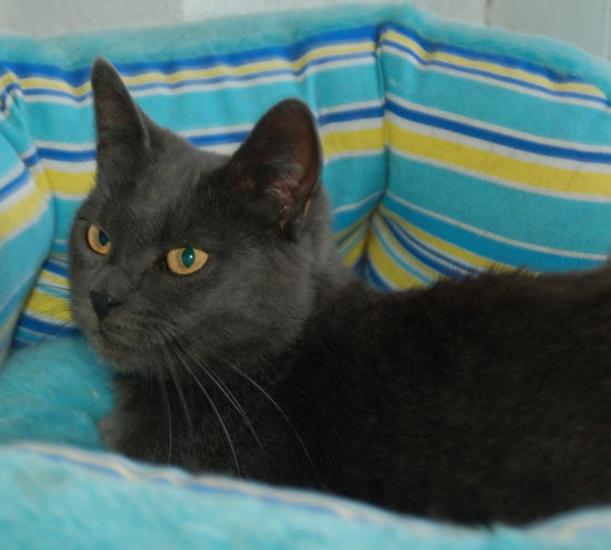 luzie001.jpg