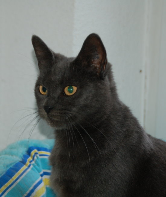 luzie002.jpg