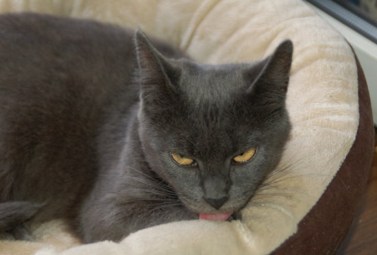 luzie003.jpg
