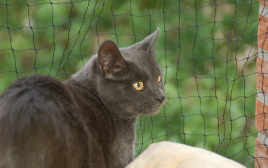 luzie004.jpg