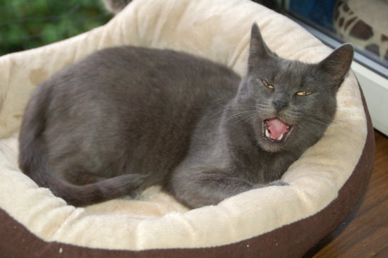 luzie006.jpg