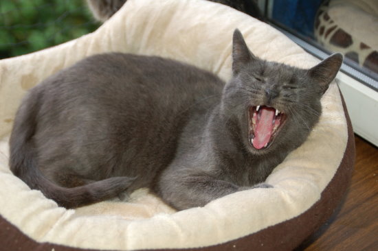 luzie007.jpg