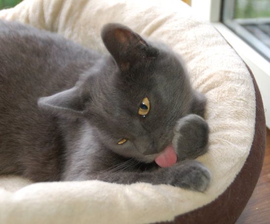 luzie008.jpg