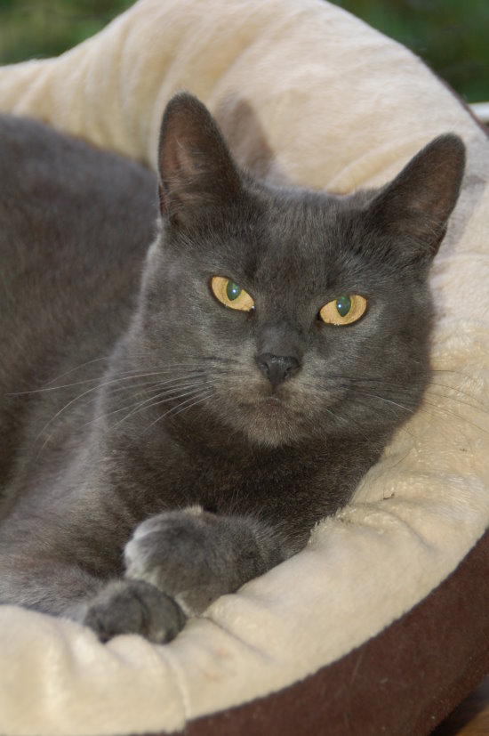 luzie009.jpg