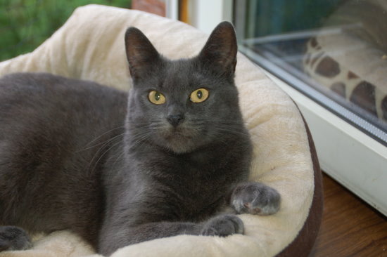 luzie010.jpg